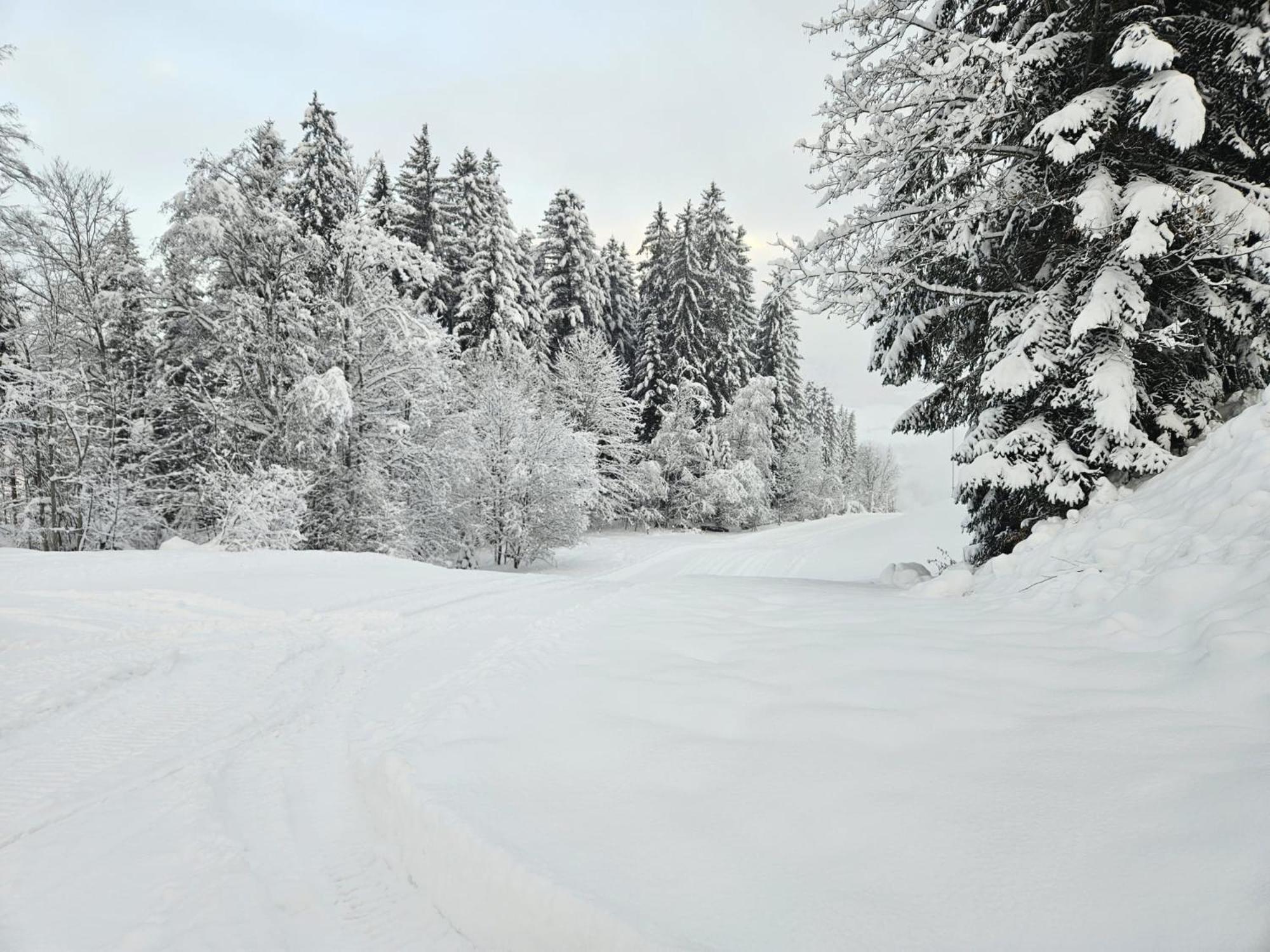 Alpen Studio Ellmau II Exterior photo